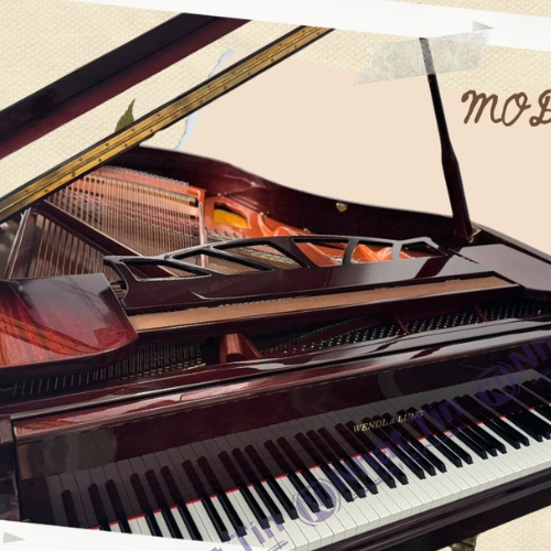 Đàn Grand Piano Wendl & Lung Mod.180