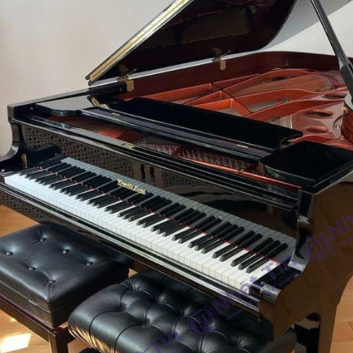 Đàn Grand Piano Wendl & Lung Mod.218
