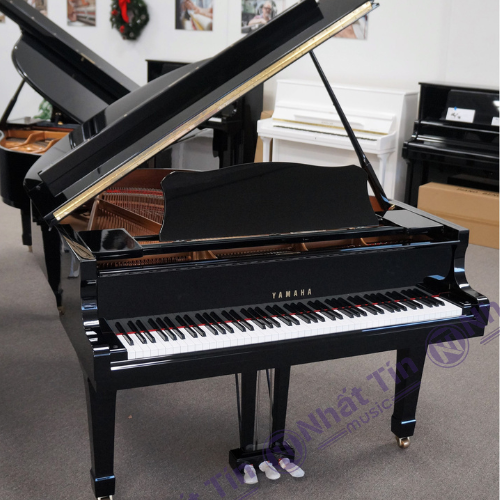 Đàn Grand Piano Yamaha C1