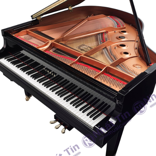Đàn Grand Piano Yamaha C2