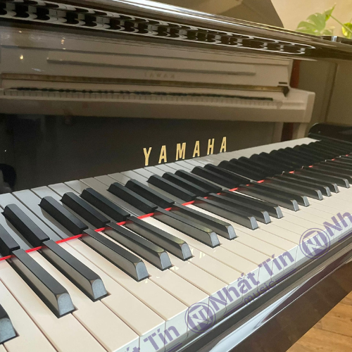 Đàn Grand Piano Yamaha C2