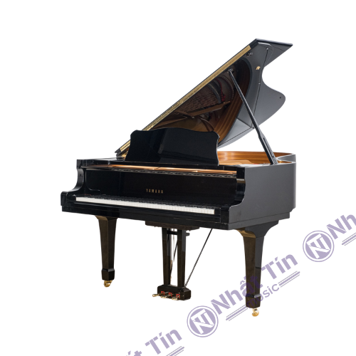 Đàn Grand Piano Yamaha C6