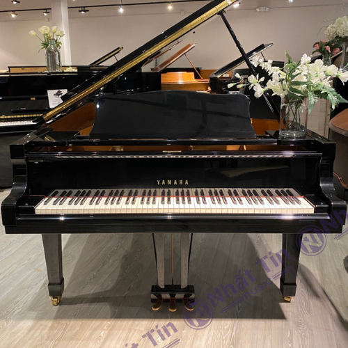 Đàn Grand Piano Yamaha C6