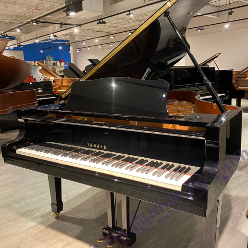 Đàn Grand Piano Yamaha C6
