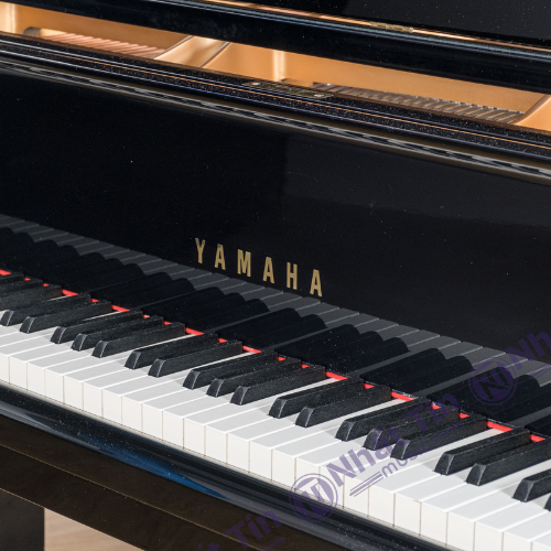 Đàn Grand Piano Yamaha C6