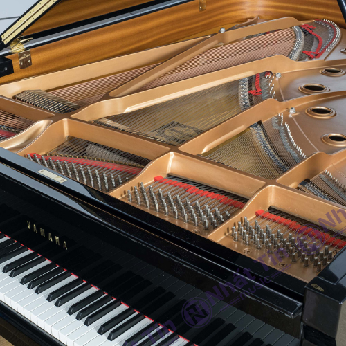 Đàn Grand Piano Yamaha C6