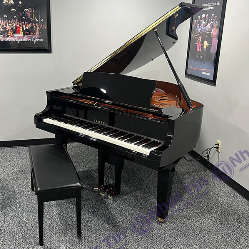 Đàn Grand Piano Yamaha DC1X ENST