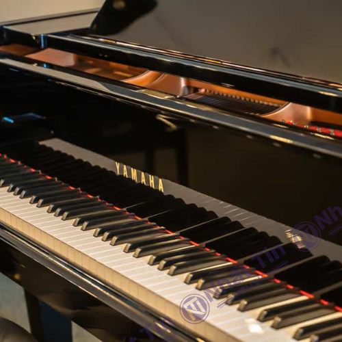 Đàn Grand Piano Yamaha DC3X ENPRO