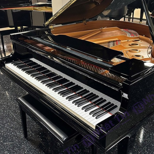 Đàn Grand Piano Yamaha DGC1 ENST