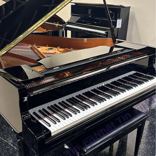 Đàn Grand Piano Yamaha DGC1 ENST