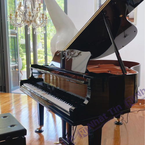 Đàn Grand Piano Yamaha DGC1 ENST