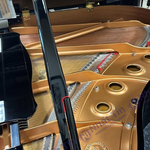 Đàn Grand Piano Yamaha DGC1 ENST