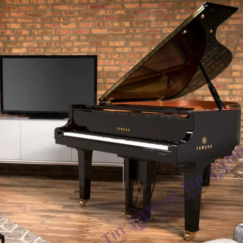 Đàn Grand Piano Yamaha DGC2 ENST
