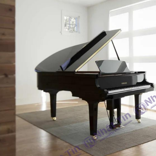 Đàn Grand Piano Yamaha DGC2 ENST