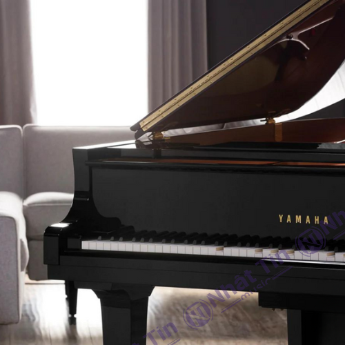 Đàn Grand Piano Yamaha DGC2 ENST