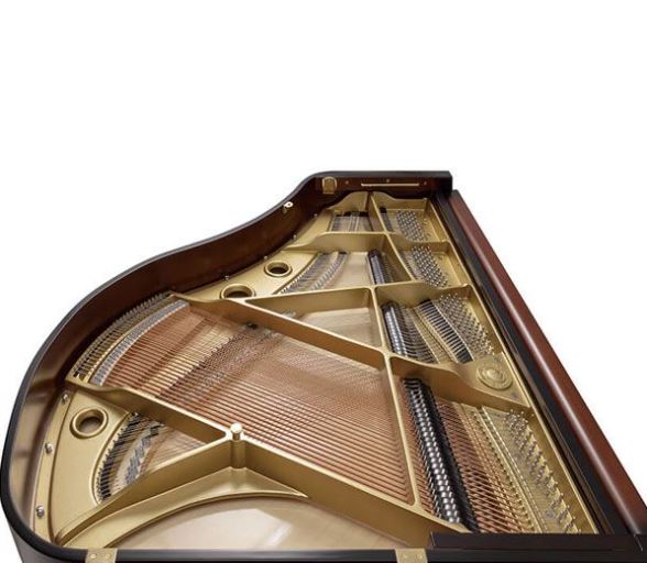 Đàn Grand Piano Apollo Vierge V148