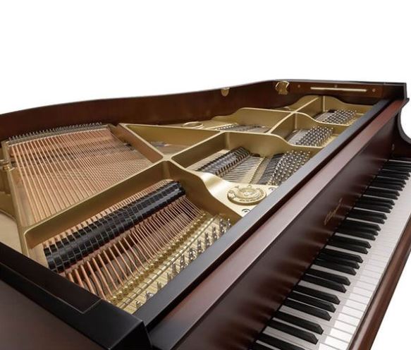 Đàn Grand Piano Apollo Vierge V148