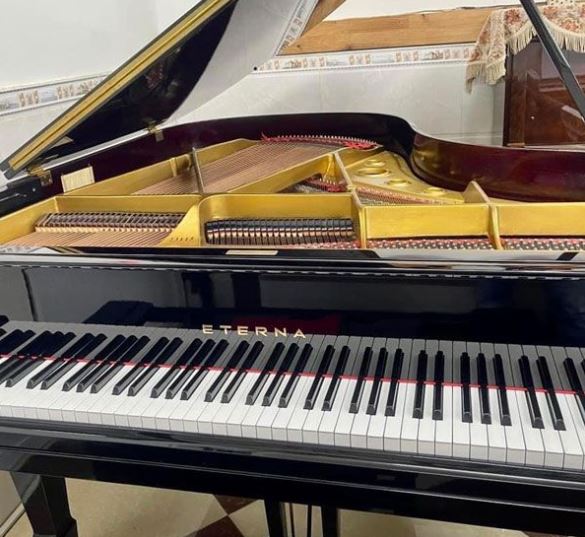 Đàn Grand Piano Eterna G2