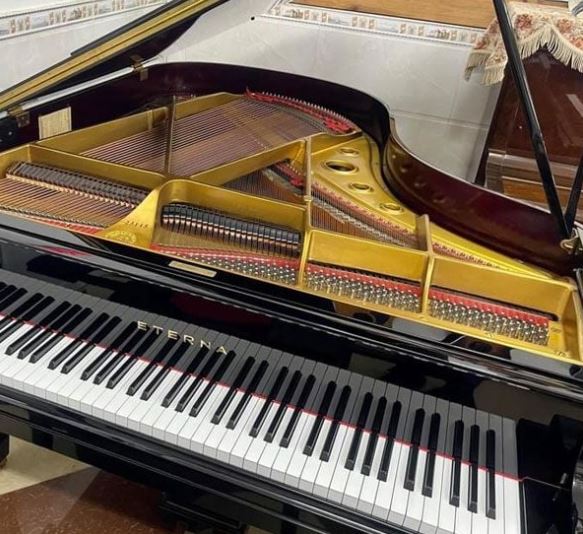 Đàn Grand Piano Eterna G2
