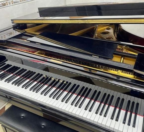 Đàn Grand Piano Eterna G2