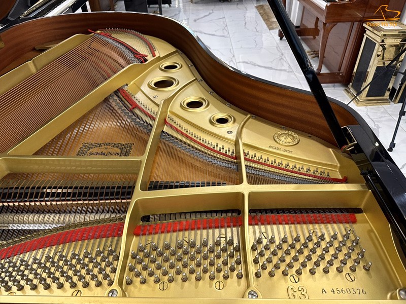 Đàn Grand Piano Yamaha G3A