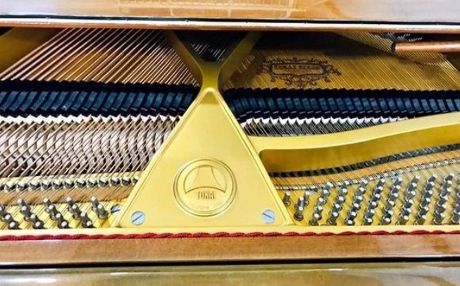 Đàn Grand Piano Tokai G150