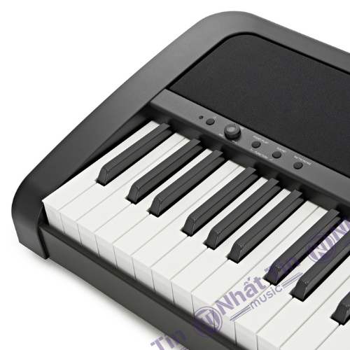 Đàn piano điện Korg B2