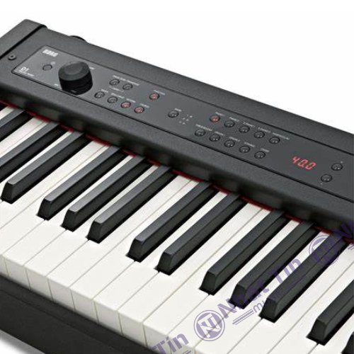 Đàn piano điện Korg D1