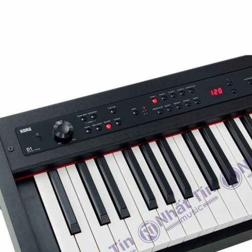 Đàn piano điện Korg D1
