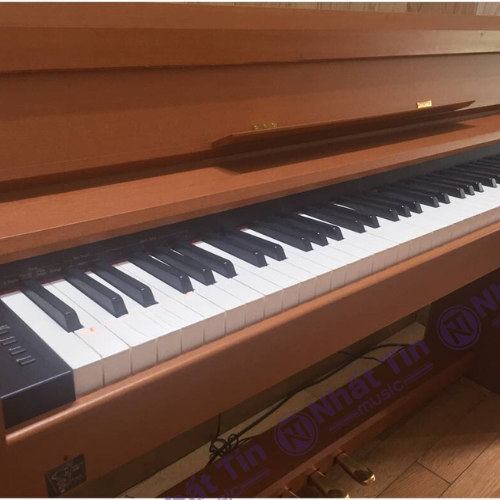 Đàn piano điện Roland DP1000