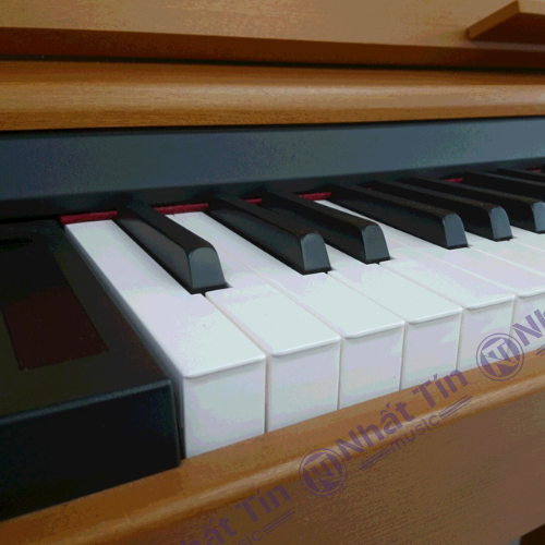 Đàn piano điện Roland DP900