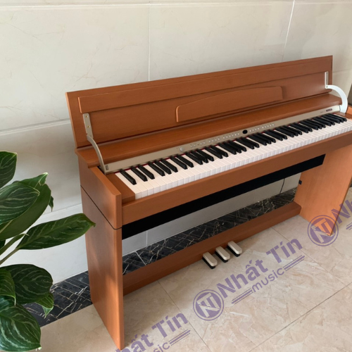 Đàn piano điện Roland DP970