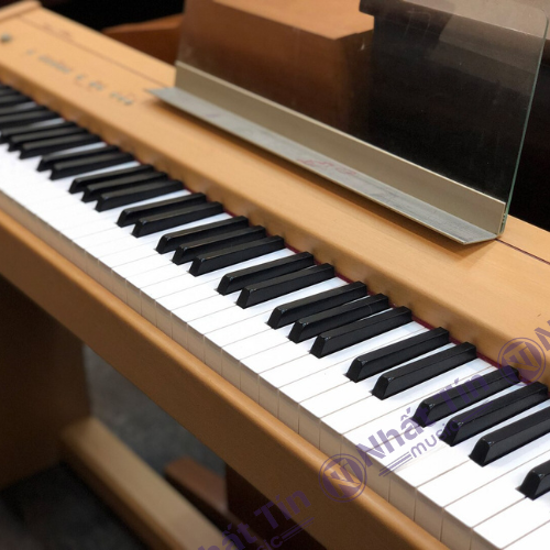 Đàn piano điện Roland F100