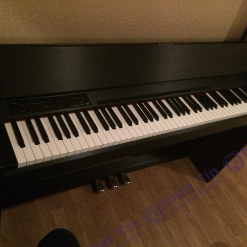 Đàn piano điện Roland F120