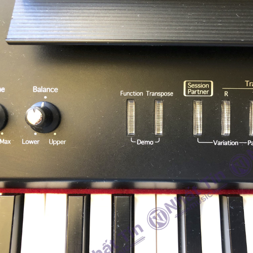 Đàn piano điện Roland FP4