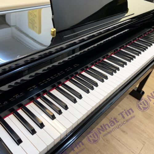 Đàn piano điện Roland HP5700 PE
