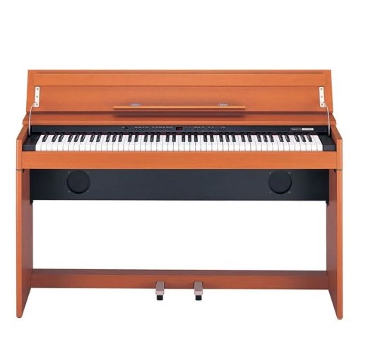 Đàn Piano Điện Roland DP 900