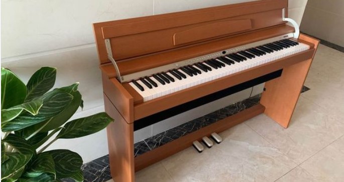 Đàn Piano Điện Roland DP 900