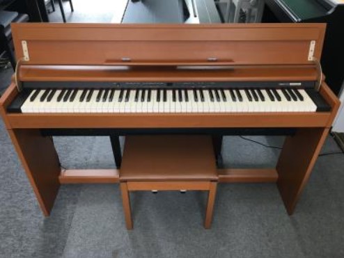 Đàn Piano Điện Roland DP 900