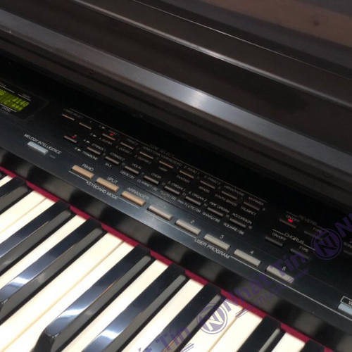 Đàn piano điện Roland KR3000
