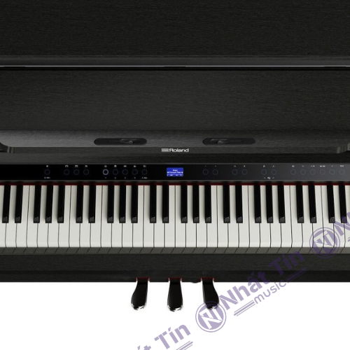 Đàn piano điện Roland LX6