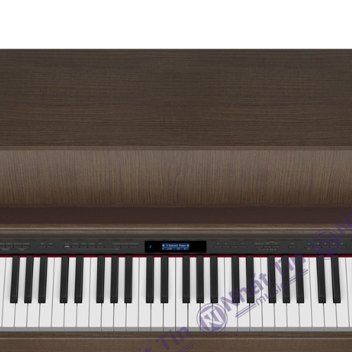 Đàn piano điện Roland LX7