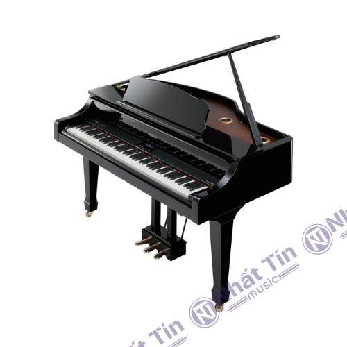 Đàn piano điện Roland RG3F