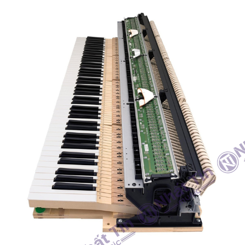 Piano điện Casio GP 300