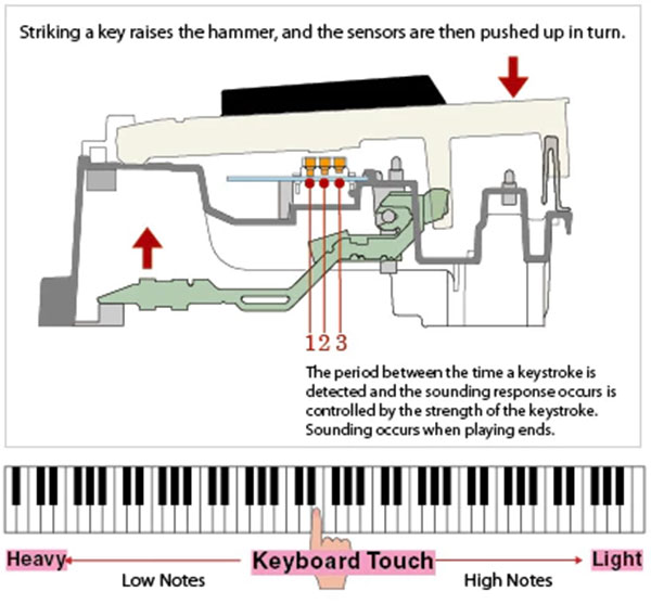 Piano điện Casio PX 770 (Chính hãng full box 100%)