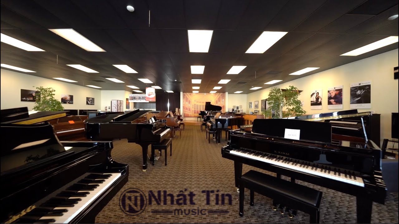 Piano Nhất Tín đơn vị uy tín để bạn lựa chọn mua piano