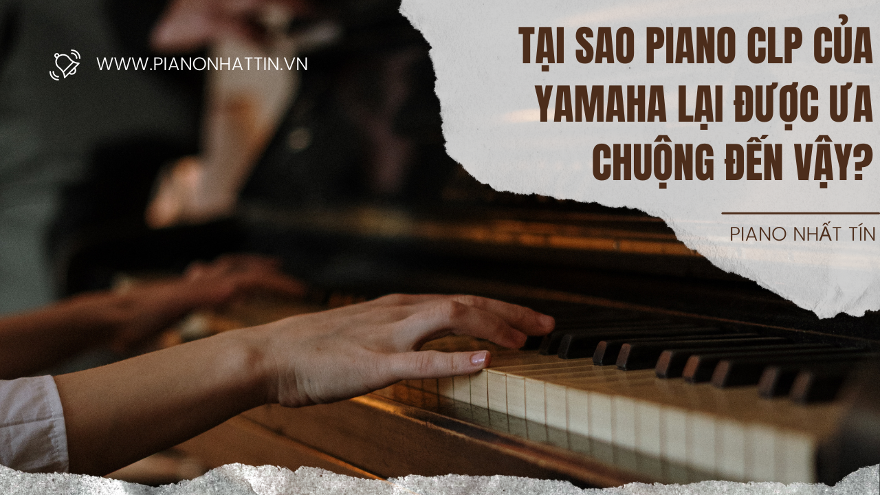 Đa dạng các moadel từ dòng piano Yamaha CLP tham khảo tại: https://pianonhattin.vn