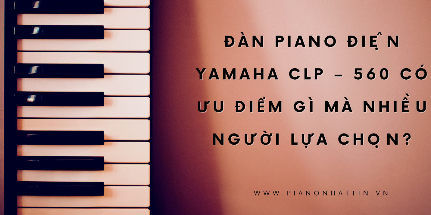 www.pianonhattin.vn địa chỉ mua piano chính hãng tại TP.HCM