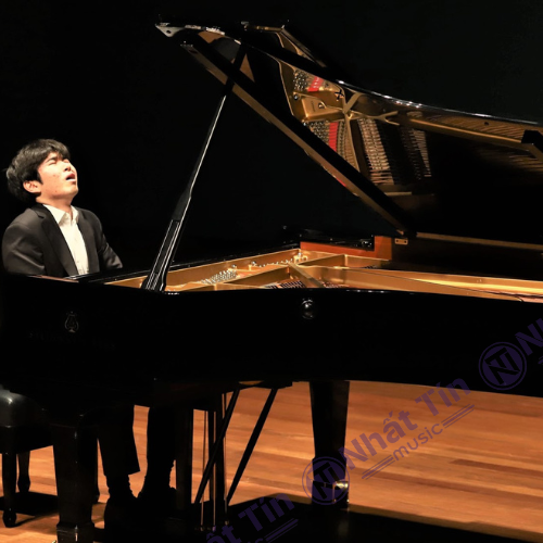 Sử dụng trong các buổi biểu diễn, phòng thu và sân khấu lớn nên dùng đàn grand piano