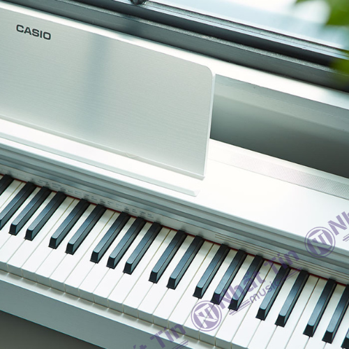 Đàn piano có rất nhiều mức giá khác nhau